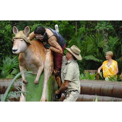 Tag elf im Dschungelcamp: Alle Bilder