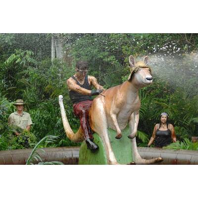 Tag elf im Dschungelcamp: Alle Bilder