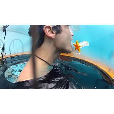 Tag dreizehn im Dschungelcamp: Alle Bilder