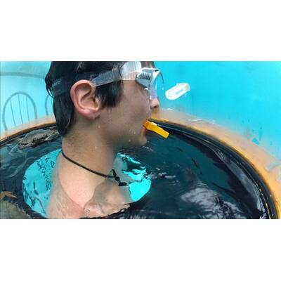 Tag dreizehn im Dschungelcamp: Alle Bilder