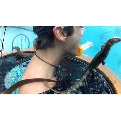 Tag dreizehn im Dschungelcamp: Alle Bilder