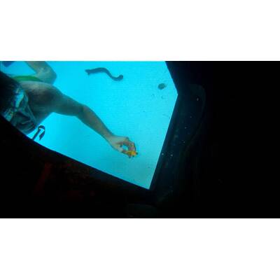 Tag dreizehn im Dschungelcamp: Alle Bilder