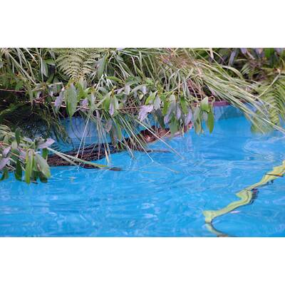 Tag dreizehn im Dschungelcamp: Alle Bilder