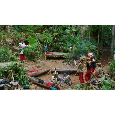 Tag vierzehn im Dschungelcamp: Alle Bilder