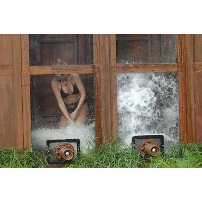 Dschungel-Show: Die letzten Ekel-Prüfungen