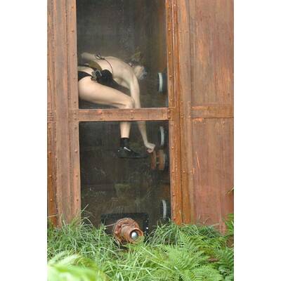 Dschungel-Show: Die letzten Ekel-Prüfungen