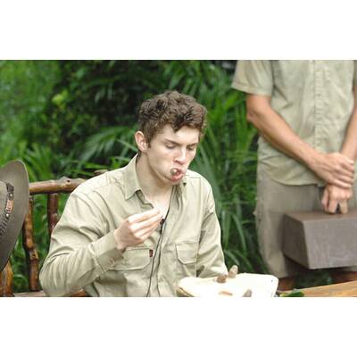 Dschungel-Show: Die letzten Ekel-Prüfungen