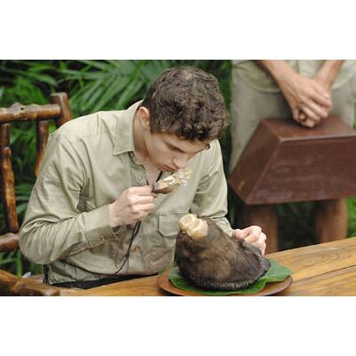 Dschungel-Show: Die letzten Ekel-Prüfungen