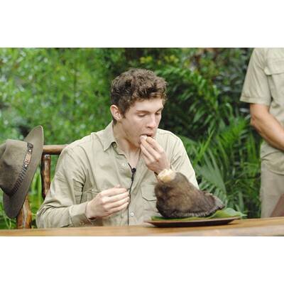 Dschungel-Show: Die letzten Ekel-Prüfungen