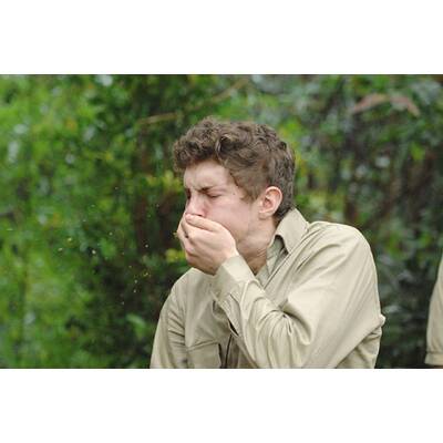 Dschungel-Show: Die letzten Ekel-Prüfungen