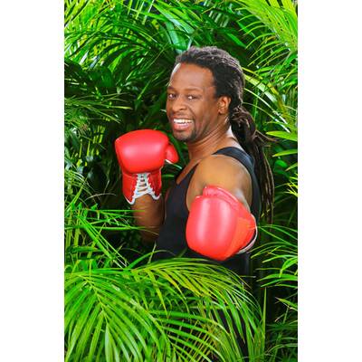 Das sind die 11 Dschungel-Stars