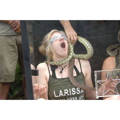 Das Dschungelcamp: Tag 1