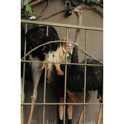 Das Dschungelcamp: Tag 1