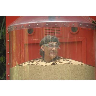 Tag 6 im Dschungelcamp