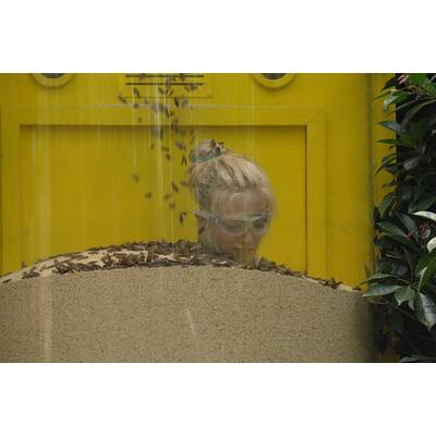 Tag 6 im Dschungelcamp