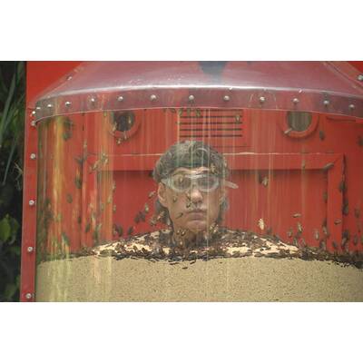 Tag 6 im Dschungelcamp