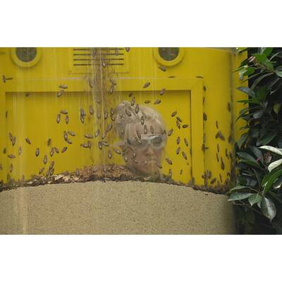 Tag 6 im Dschungelcamp