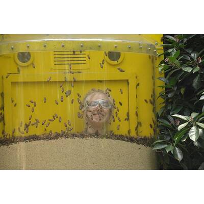 Tag 6 im Dschungelcamp