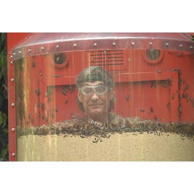 Tag 6 im Dschungelcamp