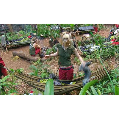 Tag 6 im Dschungelcamp