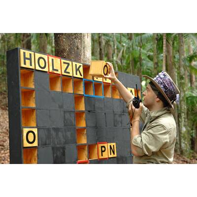 Tag 8 im Dschungelcamp