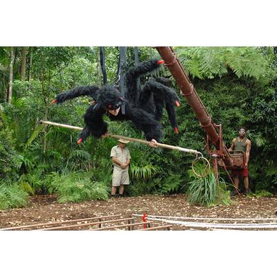 Tag 8 im Dschungelcamp