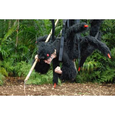 Tag 8 im Dschungelcamp