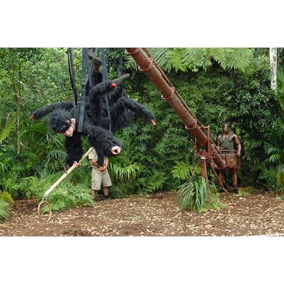 Tag 8 im Dschungelcamp