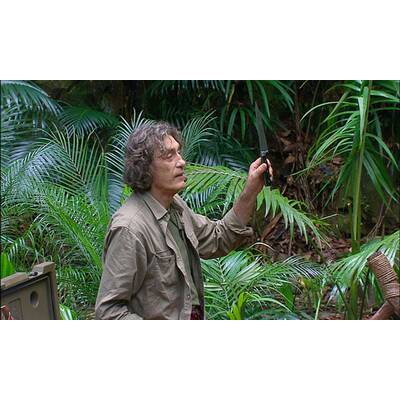 Tag 13 im Dschungelcamp