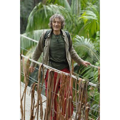 Tag 15 im Dschungelcamp