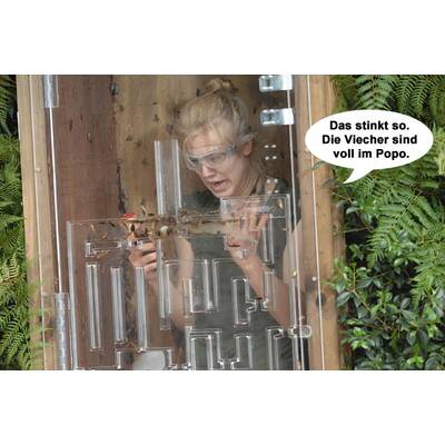 Larissa Marolt im Dschungelcamp