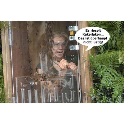 Larissa Marolt im Dschungelcamp