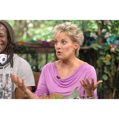 Dschungelstars: Das Wiedersehen