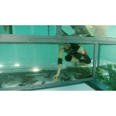 Tag 4 im Dschungelcamp