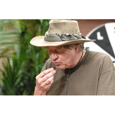 Dschungelcamp: Der fünfte Tag