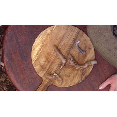 Dschungelcamp: Der fünfte Tag