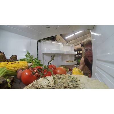 Dschungelcamp: Der siebte Tag