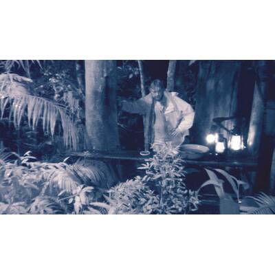 Dschungelcamp: Der neunte Tag