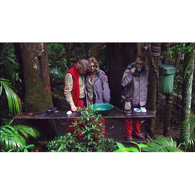 Maren Gilzer: Ihre besten Dschungelbilder