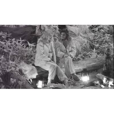 Dschungelcamp: Der neunte Tag