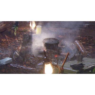 Dschungelcamp Tag 10