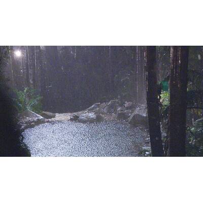 Dschungelcamp Tag 10