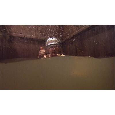 Dschungelcamp: Der elfte Tag