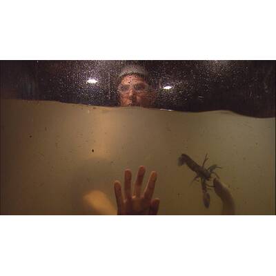 Dschungelcamp: Der elfte Tag