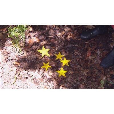 Dschungelcamp: Der elfte Tag