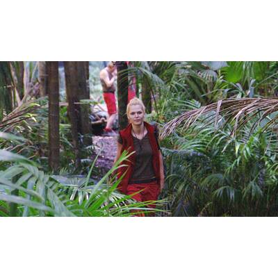 Dschungelcamp: Der elfte Tag