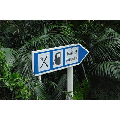 Dschungelcamp: Der zwölfte Tag