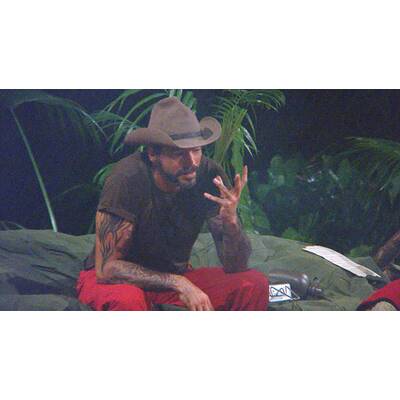 Dschungelcamp: Der zwölfte Tag