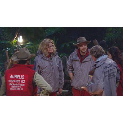 Dschungelcamp: Der zwölfte Tag
