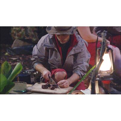 Dschungelcamp: Der zwölfte Tag